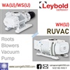 ปั๊มสุญญากาศ Leybold รุ่น RUVAC (Root Blower Pump)