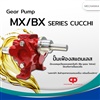 CUCCHI ปั๊มเฟือง รุ่น MX/BX Series