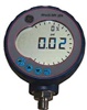 Digital Pressure Gauge DRUCK DPI-104