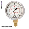 Capsule Pressure Gauge