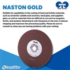 NASTON GOLD