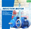 INDUCTION MOTOR  มอเตอร์ไฟฟ้าอุตสาหกรรม IP55
