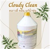 Cloudy Clean คลาวดี้ คลีน 3.8 ลิตร ผลิตภัณฑ์ปรับสภาพน้ำ สำหรับแก้น้ำขุ่น