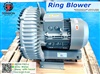 Ring Blower (ริงโบลเวอร์) 7.5kw 50Hz. 3Phase