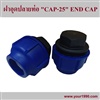 HDPE ฝาอุดปลายท่อ/HDPE End Cap
