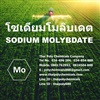 โซเดียมโมลิบเดต, Sodium Molybdate, ผงจุลธาตุโมลิบดินัม, โซเดียมโมลิบเดท, จุลธาตุในดิน, Micronutrients