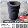 PULLEY 12-D-300