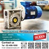 "MOTODRIVE"Worm Gear Motor Model : MRV075 Ratio : 7.5 Motor 2.2kw/4P/B5