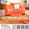 Vibrator motor , มอเตอร์สั่น , มอเตอร์เขย่า MVE200/3E-20A0