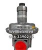DUNGS Safety blow off valve  FRSBV 1010