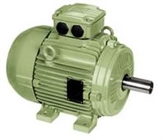 High Efficiency Motor W21 - Cast Iron Frame - Exceeds EFF1 