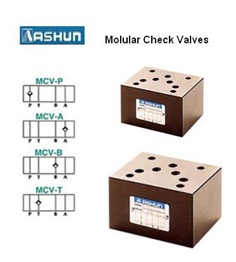 ASHUN - Modular check valve
