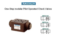 ASHUN - One-Step Pilot Operated Modular check valve