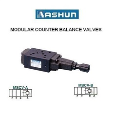 ASHUN - Modular Counter Balance Valves