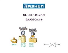 ASHUN - Gauge Cocks