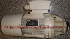 Service Repair AC/DC Motor, AEG  Motor.