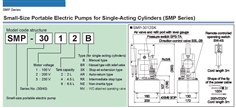 RIKEN Motor-Driven Hydraulic Pump SMP-3016 Series