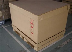 Paper Pallet with Carton