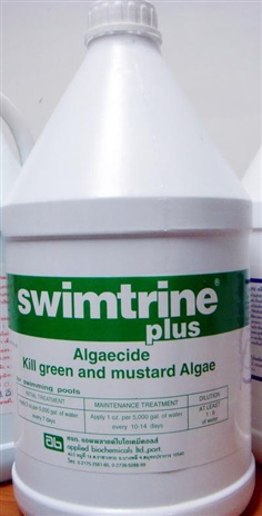 swimtrine plus กำจัดตะไคร่ในสระว่ายน้ำ