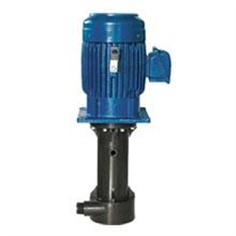 CS/CST Wet/dry running vertical pump