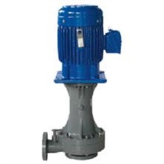 CD/CSD Wet/dry running vertical pump