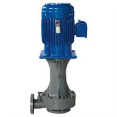 CDD/CSDD Wet/dry running vertical pump