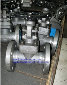Forged Gate Valve Class 150 Flanged/BW