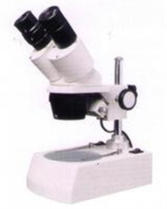 Microscopes  Digital
