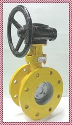 Butterfly Double Flange Valve