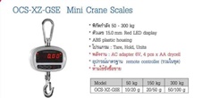 เครื่องชั่ง ZEPPER รุ่น OCS-XZ-GSE Mini Crane Scales
