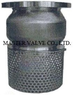 Foot Valve Stainless