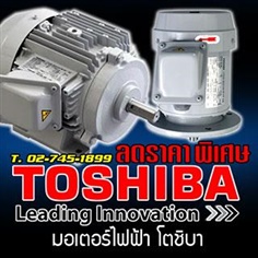 motor toshiba,มอเตอร์ไฟฟ้า โตชิบา