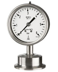 Pressure Gauges with Chemical Seals 63 (2 1/2")