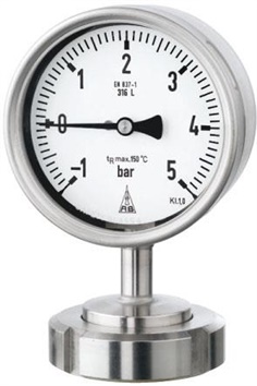 Pressure Gauges with Chemical Seals 100, 160 (4", 6")