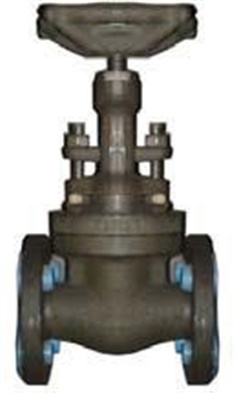 59851MM FORGED GATE VALVE; CLASS 800