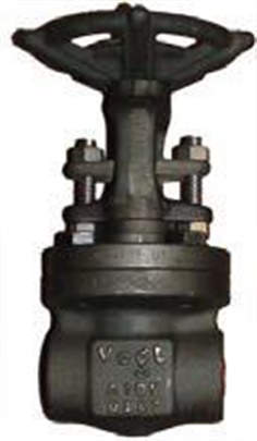 SW12111: Forged Gate Valve Class 800 (PN130)