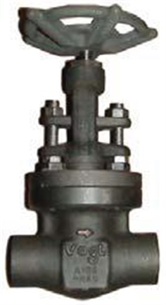 SW12141: Forged Gate Valve Class 800 (PN130) Welded