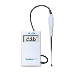 Thermometer with probe