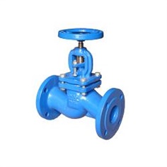 Globe valve ANSI B16.10