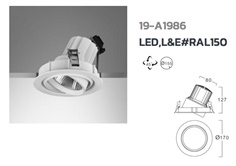 Down Light LED L&E# RAL150