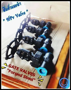 A105 Forged steel globe valve ,gate valve,check valve