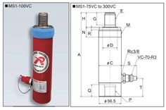 RIKEN Hydraulic Cylinder MS1-75VC