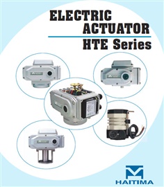 Electric Actuator Valves