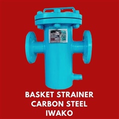 Basket Strainer Carbon Steel