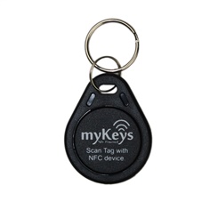 พวงกุญแจ 125 KHz RFID Keyfob