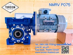 Worm Gear Motor NMRV P075