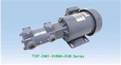 NOP Trochoid Pump TOP-2HBM+2HB Series