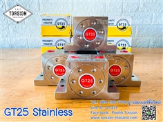 Air Vibration GT25 Stainless
