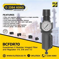 BCFDR70 - Integral Filter and Regulator