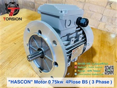 HASCON Motor 0.75kw.(1HP) 4P B5 3Phase